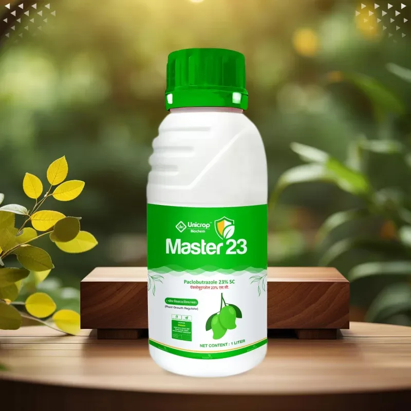 Master 23 pack