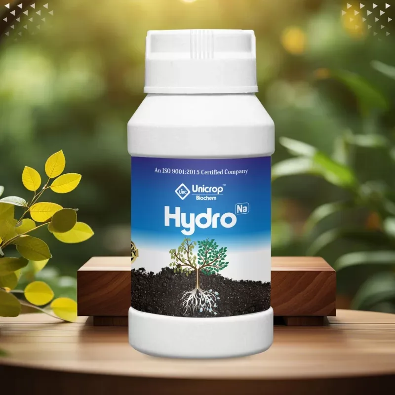 Hydrogel S pack