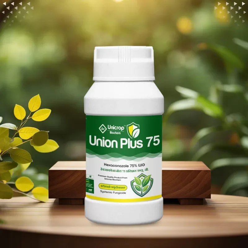 Union Plus 75 pack